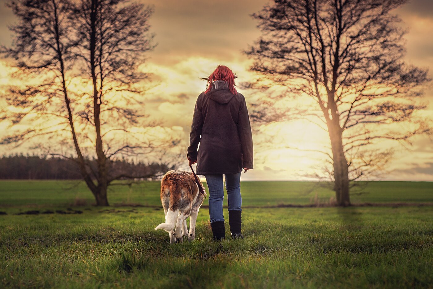 Eine Frau spaziert mit einem Hund im Wald