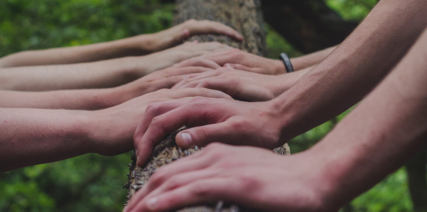 Foto mehrerer Hände, die gemeinsam auf einem Baumstamm ruhen